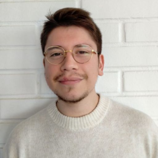 Psicólogo online