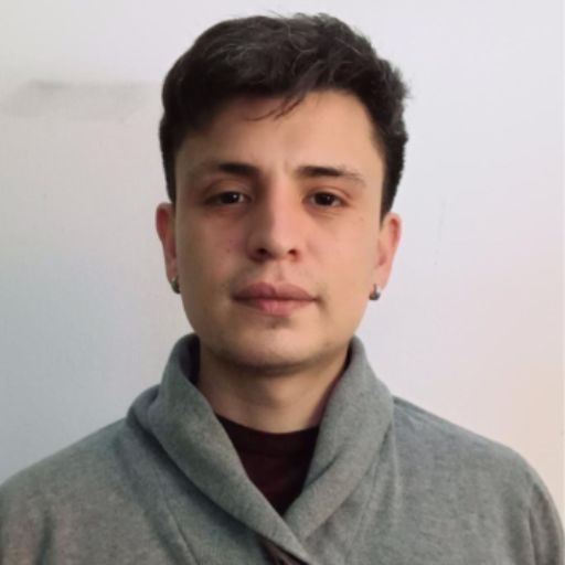 Psicólogo online