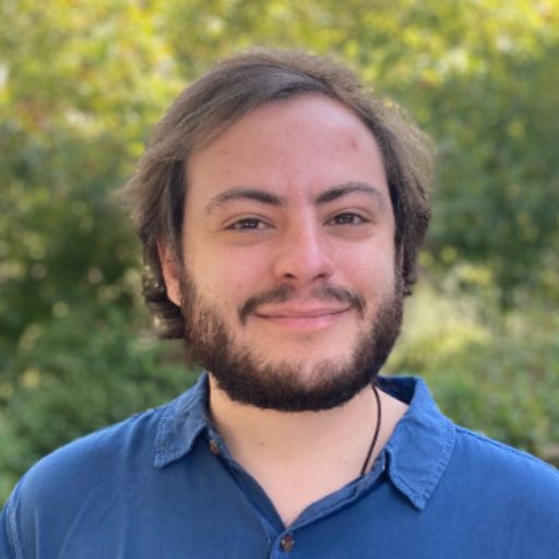 Psicólogo online
