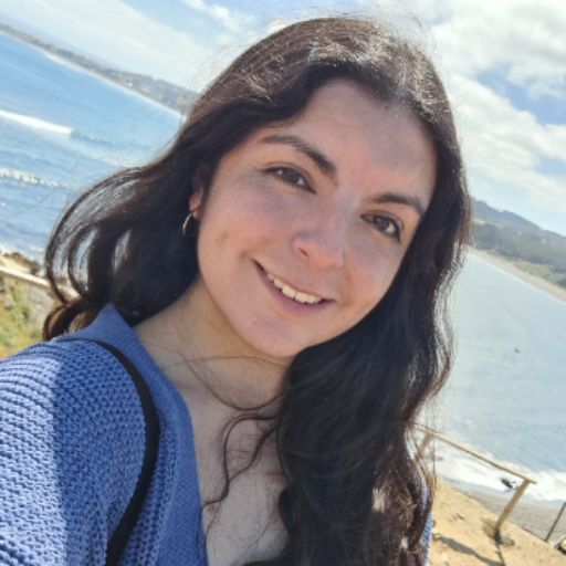 Psicólogo online