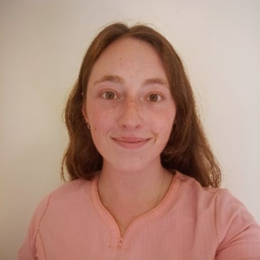 Psicólogo online