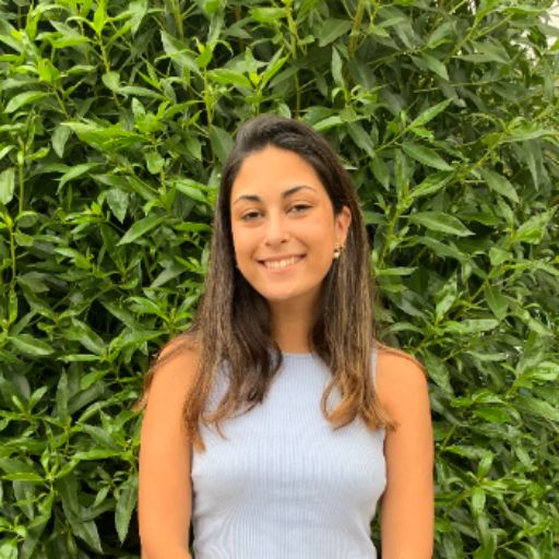 Psicólogo online