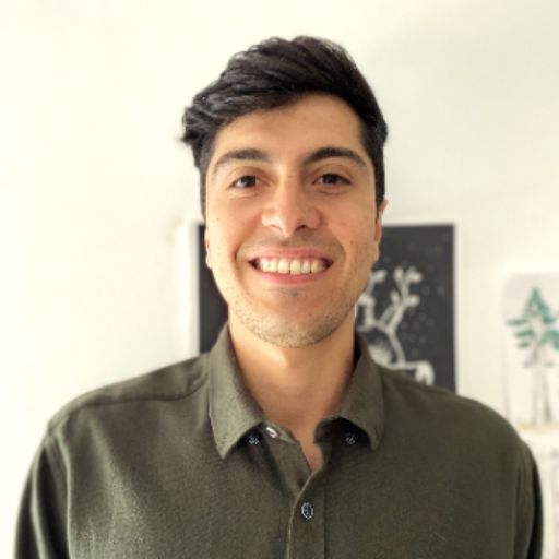 Psicólogo online