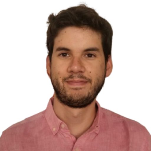 Psicólogo presencial y online