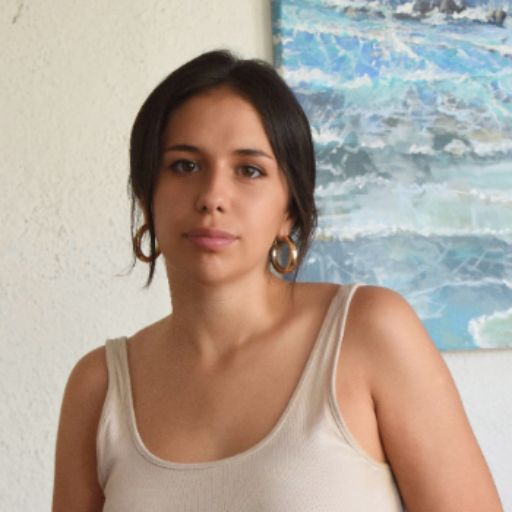 Psicólogo online