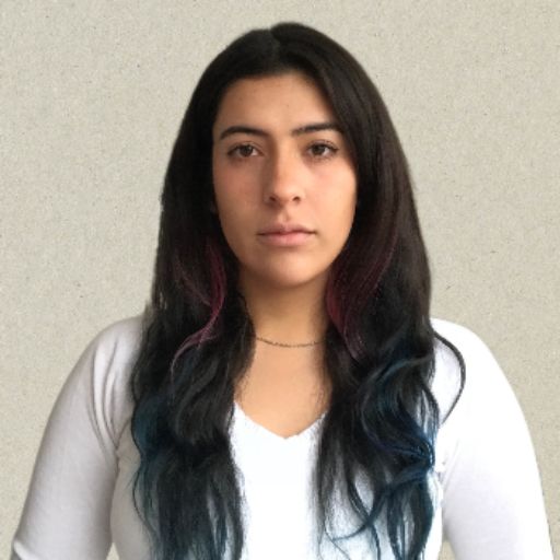Psicólogo online