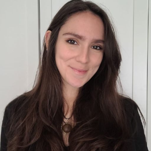 Psicólogo online