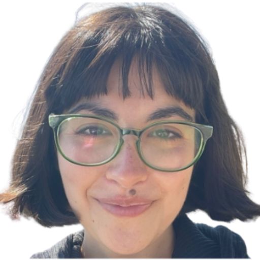 Psicólogo online