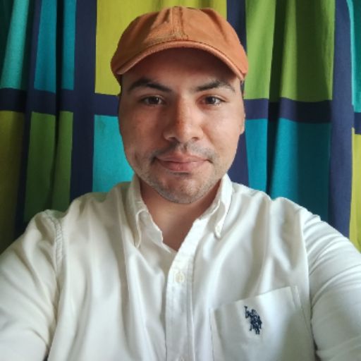 Psicólogo online