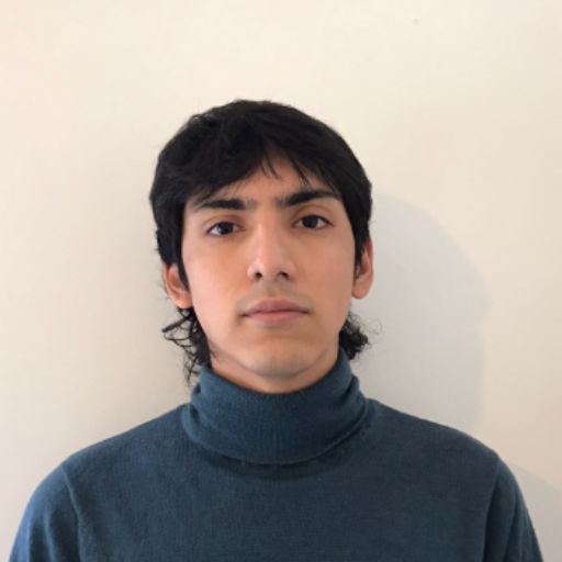 Psicólogo online