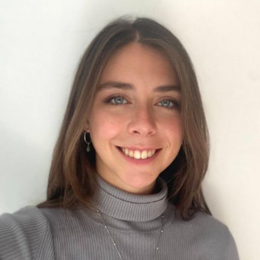 Psicólogo online