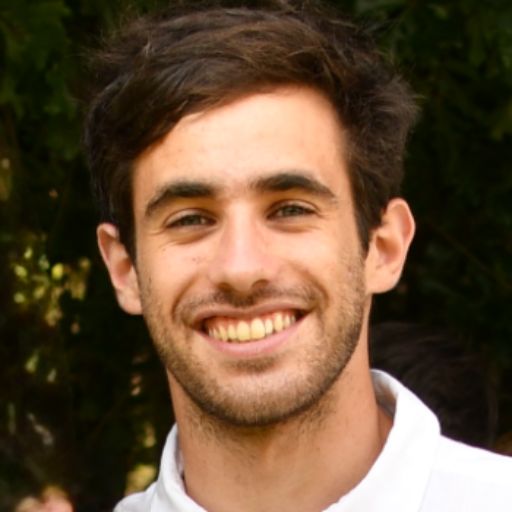Psicólogo online