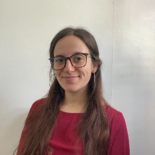 Psicólogo online