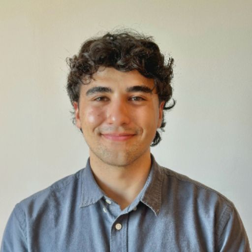Psicólogo online