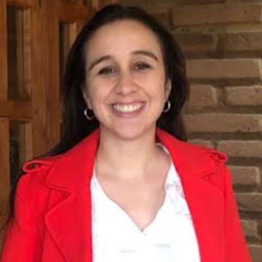 Psicólogo online