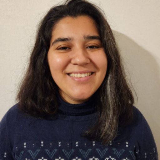 Psicólogo online