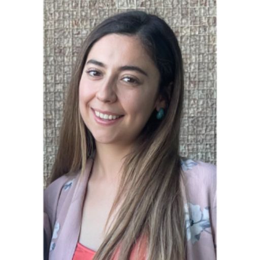Psicólogo online