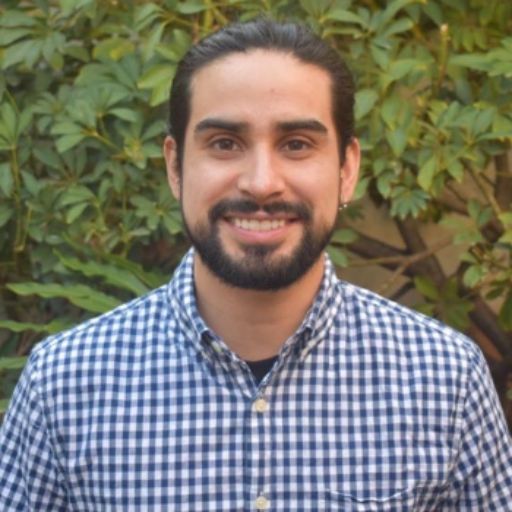 Psicólogo online
