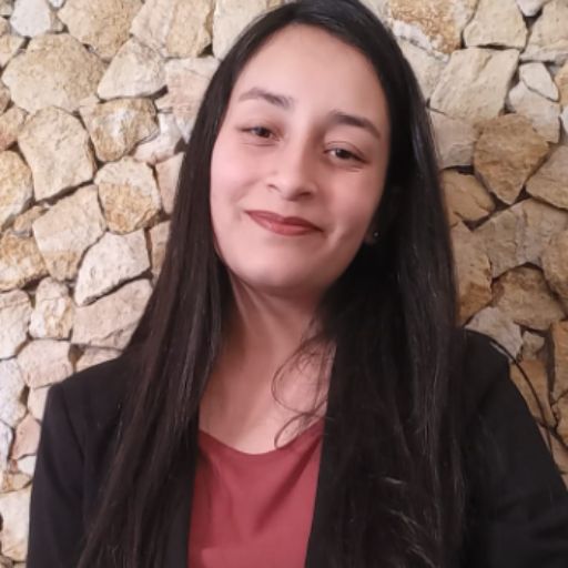 Psicólogo online