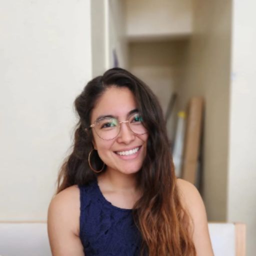 Psicólogo online