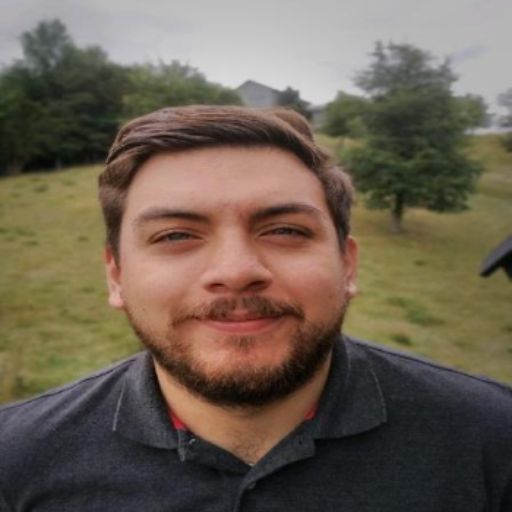 Psicólogo online
