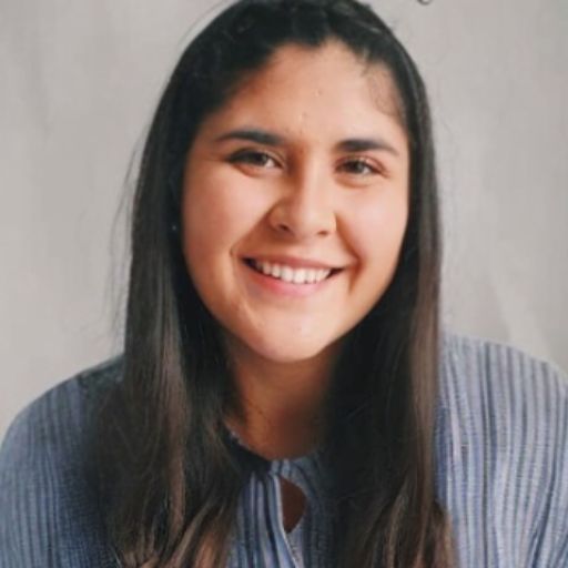 Psicólogo online