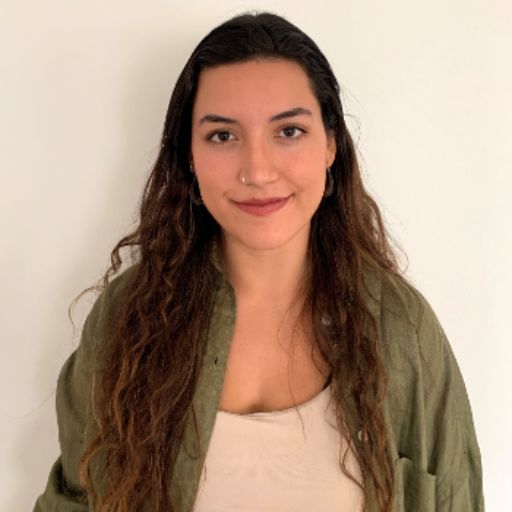 Psicólogo online