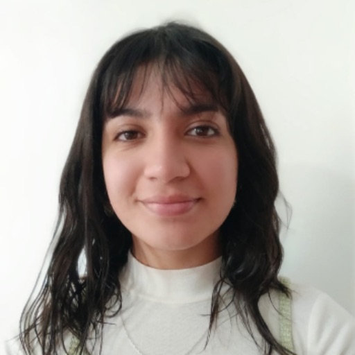 Psicólogo online