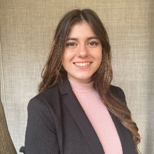Psicólogo online