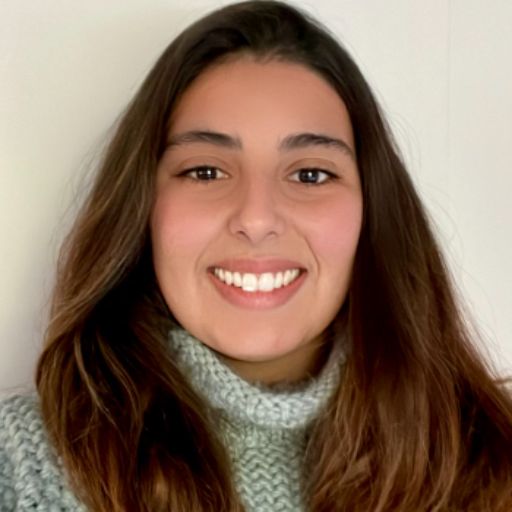 Psicólogo online