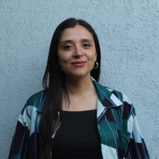 Psicólogo online